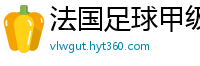 法国足球甲级联赛